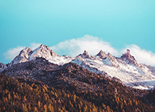 彩客网官网-尼克斯又有大动静！保罗韦少2选1？安东尼确定回归？