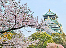 彩客网官网-德国疫情日记㉘：法院为何取消复活节旅行禁令？